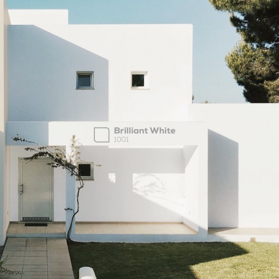 Nippon Paint Weatherbond Water-Based Paint For Exterior 18L (Brilliant White 1001)