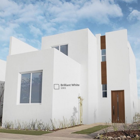 Nippon Paint Weatherbond Water-Based Paint For Exterior 18L (Brilliant White 1001)