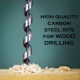 Home Store SDS Plus Wood Auger Drill Bit 6.0MM ~ 25.00MM (D) x 200MM (L)