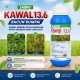 1L Kawal 13.6 Racun Rumput (Kelas IV) 1L Kawal 13.6 Racun Rumput (Kelas IV)