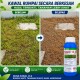 1L Kawal 13.6 Racun Rumput (Kelas IV) 1L Kawal 13.6 Racun Rumput (Kelas IV)