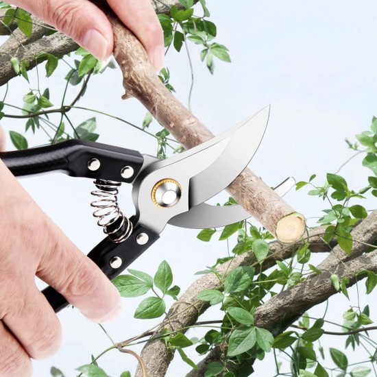 CN ''FENGSHUO'' #168 Pruning Shears Black Handle 8'' (200MM) + FREE 1PC Spring CN ''FENGSHUO'' #168 Pruning Shears Black Handle 8'' (200MM) + FREE 1PC Spring