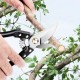 CN ''FENGSHUO'' #168 Pruning Shears Black Handle 8'' (200MM) + FREE 1PC Spring CN ''FENGSHUO'' #168 Pruning Shears Black Handle 8'' (200MM) + FREE 1PC Spring