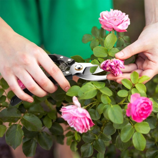 CN ''FENGSHUO'' #168 Pruning Shears Black Handle 8'' (200MM) + FREE 1PC Spring CN ''FENGSHUO'' #168 Pruning Shears Black Handle 8'' (200MM) + FREE 1PC Spring