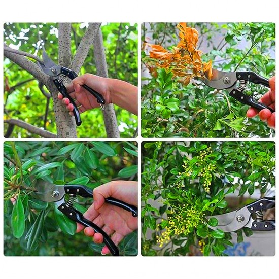 CN ''FENGSHUO'' #168 Pruning Shears Black Handle 8'' (200MM) + FREE 1PC Spring CN ''FENGSHUO'' #168 Pruning Shears Black Handle 8'' (200MM) + FREE 1PC Spring