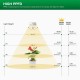 SANSI 10W 2-Head Stickable LED Grow Light 4000K Daylight Full Spectrum With Timer SANSI 10W 2-Head Stickable LED Grow Light 4000K Daylight Full Spectrum With Timer