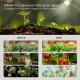SANSI 10W 2-Head Stickable LED Grow Light 4000K Daylight Full Spectrum With Timer SANSI 10W 2-Head Stickable LED Grow Light 4000K Daylight Full Spectrum With Timer