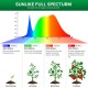 SANSI 60W C21FS-BE27 LED Grow Light Bulb Daylight Full Spectrum E27 And Sunlight White Grow Light Lamp For Indoor Garden Houseplants/Greenhouse SANSI 60W C21FS-BE27 LED Grow Light Bulb Daylight Full Spectrum E27 And Sunlight White Grow Light Lamp For Indoor Garden Houseplants/Greenhouse
