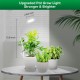 SANSI 10W Pot Clip LED Grow Light Goose Neck Full Spectrum 4000K Daylight With 4-Level Dimmable & Timer SANSI 10W Pot Clip LED Grow Light Goose Neck Full Spectrum 4000K Daylight With 4-Level Dimmable & Timer