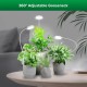 SANSI 10W Pot Clip LED Grow Light Goose Neck Full Spectrum 4000K Daylight With 4-Level Dimmable & Timer SANSI 10W Pot Clip LED Grow Light Goose Neck Full Spectrum 4000K Daylight With 4-Level Dimmable & Timer