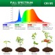 SANSI 10W Pot Clip LED Grow Light Goose Neck Full Spectrum 4000K Daylight With 4-Level Dimmable & Timer SANSI 10W Pot Clip LED Grow Light Goose Neck Full Spectrum 4000K Daylight With 4-Level Dimmable & Timer