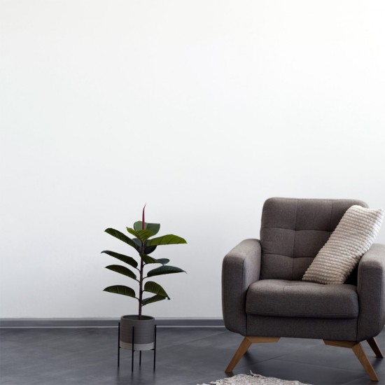 Saint-Gobain Prima Liner Smooth Lining For Walls & Ceilings 6.0MM (T) x 4' x 8' (1220MM x 2440MM) Saint-Gobain Prima Liner Smooth Lining For Walls & Ceilings 6.0MM (T) x 4' x 8' (1220MM x 2440MM)