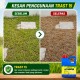 4L Trast 15 Racun Rumput Racun Rumpai Racun Lalang Glufosinate Ammonium 13.5% (Kelas III) 4L Trast 15 Racun Rumput Racun Rumpai Racun Lalang Glufosinate Ammonium 13.5% (Kelas III)