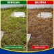 1L Trast 15 Racun Rumput Racun Rumpai Racun Lalang Glufosinate Ammonium 13.5% (Kelas III) 1L Trast 15 Racun Rumput Racun Rumpai Racun Lalang Glufosinate Ammonium 13.5% (Kelas III)
