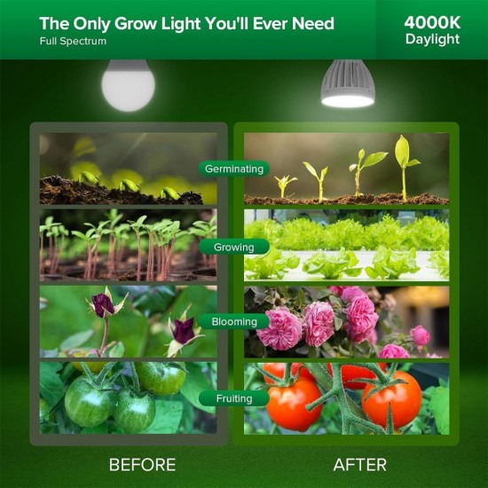 SANSI 15W ECO LED Grow Light Bulb 4000K Daylight Full Spectrum E27 And Sunlight White Grow Light Lamp For Indoor Garden Houseplants/Greenhouse SANSI 15W ECO LED Grow Light Bulb 4000K Daylight Full Spectrum E27 And Sunlight White Grow Light Lamp For Indoor Garden Houseplants/Greenhouse