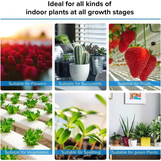 SANSI 15W ECO LED Grow Light Bulb 4000K Daylight Full Spectrum E27 And Sunlight White Grow Light Lamp For Indoor Garden Houseplants/Greenhouse SANSI 15W ECO LED Grow Light Bulb 4000K Daylight Full Spectrum E27 And Sunlight White Grow Light Lamp For Indoor Garden Houseplants/Greenhouse