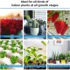 SANSI 15W ECO LED Grow Light Bulb 4000K Daylight Full Spectrum E27 And Sunlight White Grow Light Lamp For Indoor Garden Houseplants/Greenhouse SANSI 15W ECO LED Grow Light Bulb 4000K Daylight Full Spectrum E27 And Sunlight White Grow Light Lamp For Indoor Garden Houseplants/Greenhouse