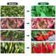 SANSI 30W x 4PCS LED Grow Light Bulb 4000K Daylight Full Spectrum E27 With 360° Adjustable Gooseneck + Tripod Stand
