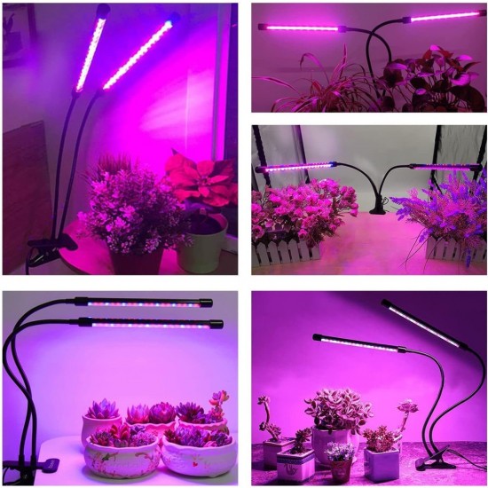 Home Store 'ILED' #AK0511 20W Adjustable 2-Tube Clip-On Light Holder Flexible Clip Clamp Indoor Plant LED Grow Light Red & Blue Spectrum