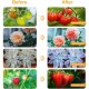Home Store 'ILED' #AK0513 20W Adjustable 2-Tube Clip-On Light Holder Flexible Clip Clamp Indoor Plant LED Grow Light Full Spectrum