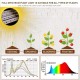 Home Store 'ILED' #AK0513 20W Adjustable 2-Tube Clip-On Light Holder Flexible Clip Clamp Indoor Plant LED Grow Light Full Spectrum