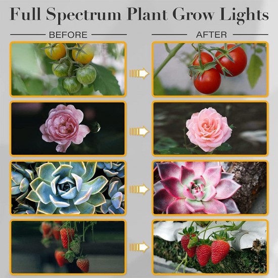 Home Store 'ILED' #AK0509 30W Adjustable 3-Tube Clip-On Light Holder Flexible Clip Clamp Indoor Plant LED Grow Light Full Spectrum Home Store 'ILED' #AK0509 30W Adjustable 3-Tube Clip-On Light Holder Flexible Clip Clamp Indoor Plant LED Grow Light Full Spectrum