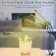 Home Store 'ILED' #AK0509 30W Adjustable 3-Tube Clip-On Light Holder Flexible Clip Clamp Indoor Plant LED Grow Light Full Spectrum Home Store 'ILED' #AK0509 30W Adjustable 3-Tube Clip-On Light Holder Flexible Clip Clamp Indoor Plant LED Grow Light Full Spectrum