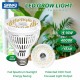 SANSI 15W LED Grow Light Bulb E27 Base Full Spectrum 4000K Daylight SANSI 15W LED Grow Light Bulb E27 Base Full Spectrum 4000K Daylight