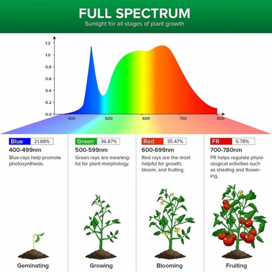 SANSI 15W LED Grow Light Bulb E27 Base Full Spectrum 4000K Daylight SANSI 15W LED Grow Light Bulb E27 Base Full Spectrum 4000K Daylight