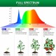 SANSI 15W LED Grow Light Bulb E27 Base Full Spectrum 4000K Daylight SANSI 15W LED Grow Light Bulb E27 Base Full Spectrum 4000K Daylight