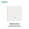 20A Switch Neon LED 
