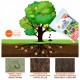 Mr Ganick SF-8091 258 Organic Fruit Tree Fertilizer 1KG Mr Ganick SF-8091 258 Organic Fruit Tree Fertilizer 1KG