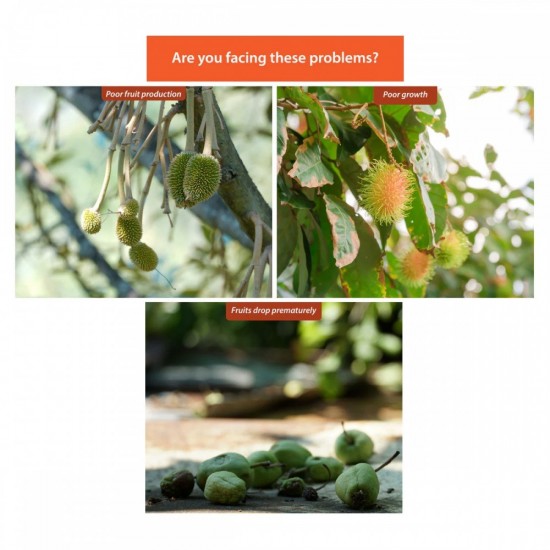 Mr Ganick SF-8091 258 Organic Fruit Tree Fertilizer 1KG Mr Ganick SF-8091 258 Organic Fruit Tree Fertilizer 1KG