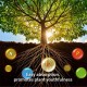 Mr Ganick SF-8091 258 Organic Fruit Tree Fertilizer 1KG Mr Ganick SF-8091 258 Organic Fruit Tree Fertilizer 1KG
