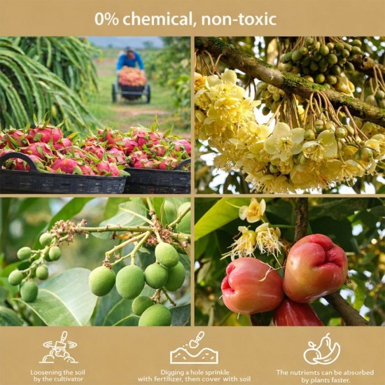 Mr Ganick SF-8457 Flowering Booster Fertilizer For Fruit Trees 400G Mr Ganick SF-8457 Flowering Booster Fertilizer For Fruit Trees 400G