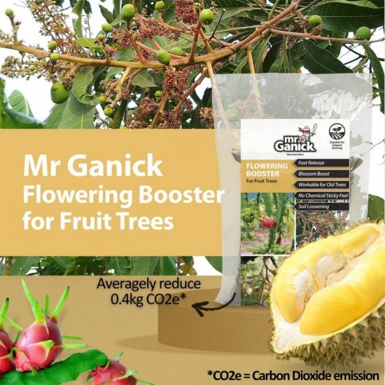 Mr Ganick SF-8457 Flowering Booster Fertilizer For Fruit Trees 400G Mr Ganick SF-8457 Flowering Booster Fertilizer For Fruit Trees 400G