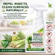 Kleenso Serai Wangi Surface Disinfectant 500ML Kleenso Serai Wangi Surface Disinfectant 500ML