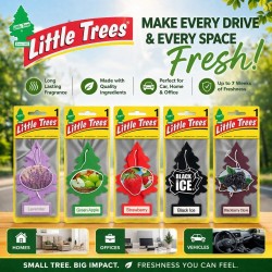 Little Trees Air Freshener Black Ice / Blackberry Ice / Green Apple / Lavender / Strawberry