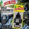 Black Ice 