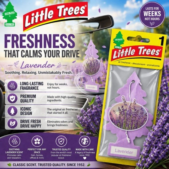 Little Trees Air Freshener Black Ice / Blackberry Ice / Green Apple / Lavender / Strawberry Little Trees Air Freshener Black Ice / Blackberry Ice / Green Apple / Lavender / Strawberry