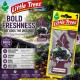 Little Trees Air Freshener Black Ice / Blackberry Ice / Green Apple / Lavender / Strawberry Little Trees Air Freshener Black Ice / Blackberry Ice / Green Apple / Lavender / Strawberry