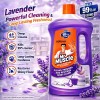 Lavender 