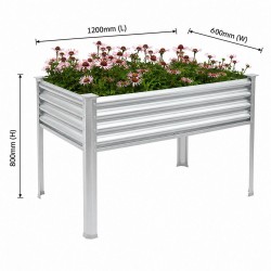 Home Store Type 7 Galvanised Raised Garden Bed With Leg 1200MM (L) x 600MM (W) x 800MM (H) - Rectangular Home Store Type 7 Galvanised Raised Garden Bed With Leg 1200MM (L) x 600MM (W) x 800MM (H) - Rectangular