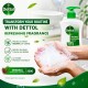 Dettol Original Antibacterial Hand Wash 250G