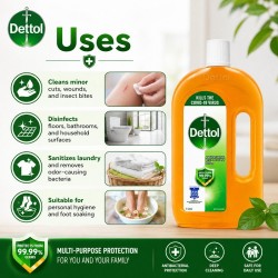 Dettol Antibacterial Disinfectant Multiuse 500ML/1L
