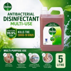 Dettol Antibacterial Disinfectant Multiuse 5L
