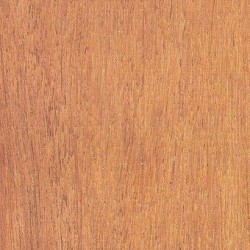 Resak Timber Smooth Square Planed 1" (T) x 3" (W) x 12' (L) 