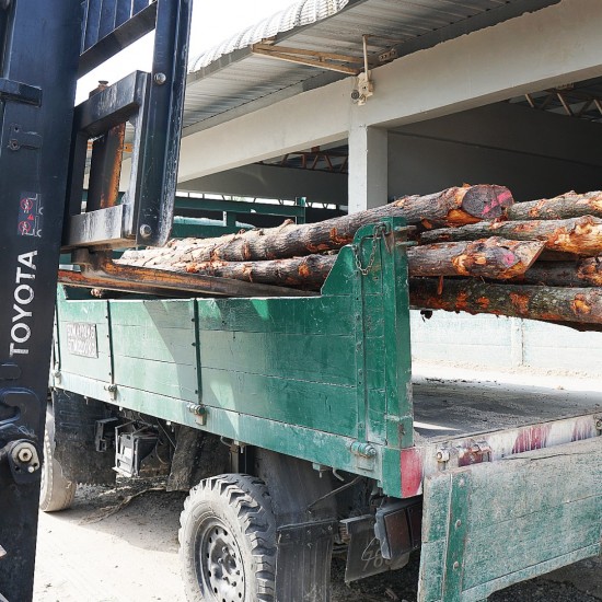 Bakau Pile 5" DIA (~4 1/2" - 5 1/2") x 10' - 12' (L) Bakau Pile 5" DIA (~4 1/2" - 5 1/2") x 10' - 12' (L)