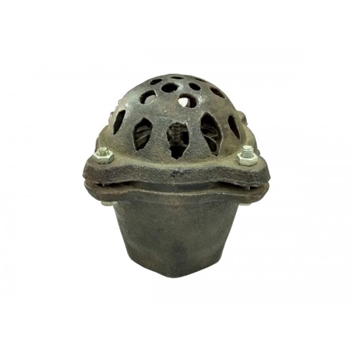 Cast Iron Foot Valves 4"