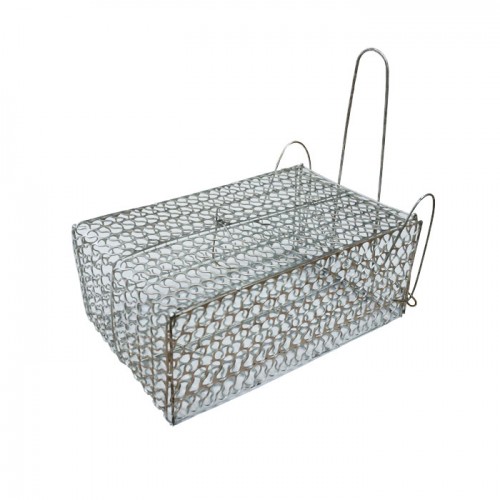 mouse trap box type